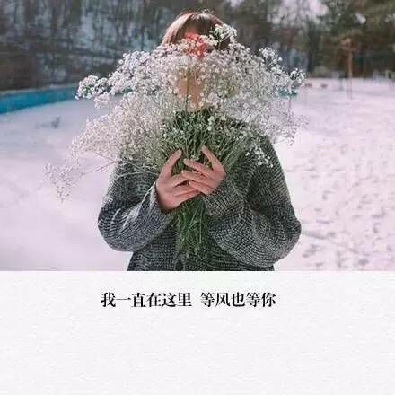 唯美图片，文字图片，动漫图片，情侣图片,qqqqp.com