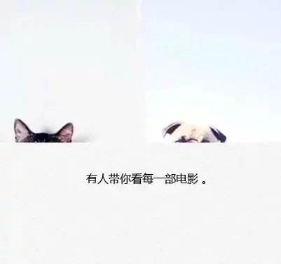 唯美图片，文字图片，动漫图片，情侣图片,qqqqp.com