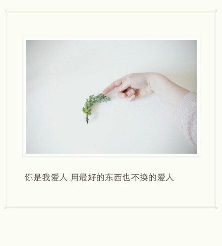 唯美图片，文字图片，动漫图片，情侣图片,qqqqp.com