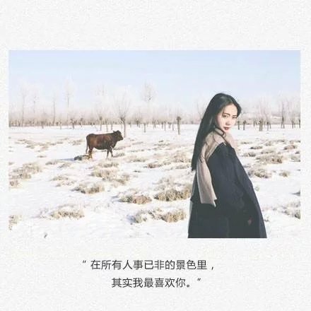 唯美图片，文字图片,情侣图片qqqqp