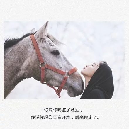 唯美图片，文字图片,情侣图片qqqqp