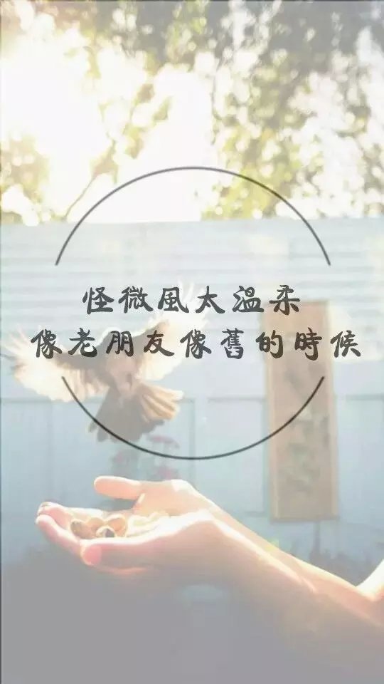 只是不想走，可逆不挽留