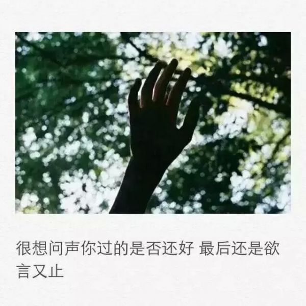 我也很讨厌自己这没骨气的样子