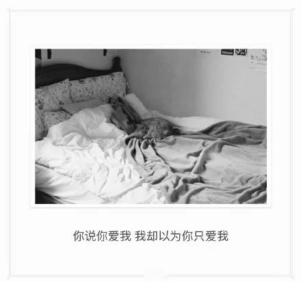唯美图片，文字图片，动漫图片，情侣图片,qqqqp.com