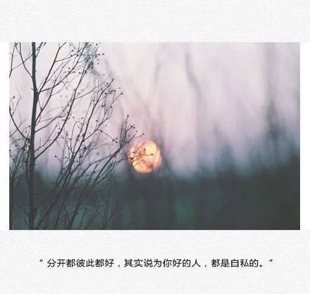唯美图片，文字图片，动漫图片，情侣图片,qqqqp.com