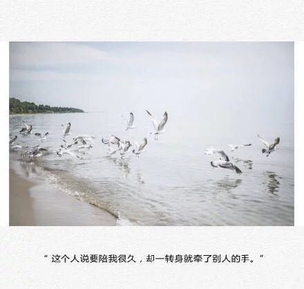 唯美图片，文字图片，动漫图片，情侣图片,qqqqp.com