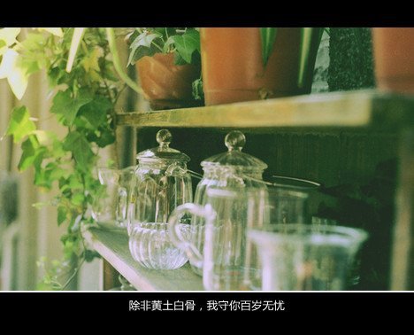 唯美图片，文字图片，动漫图片，情侣图片,qqqqp.com