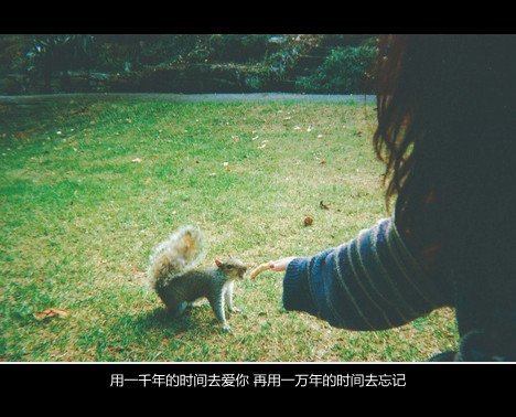 唯美图片，文字图片，动漫图片，情侣图片,qqqqp.com