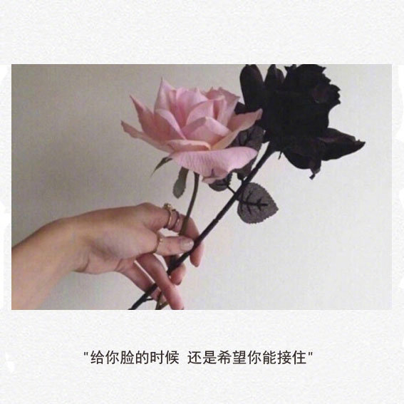 唯美图片，文字图片,情侣图片qqqqp