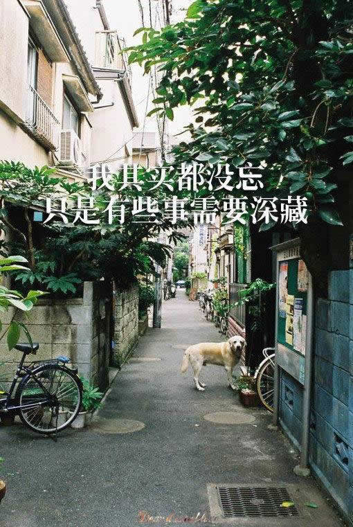 唯美图片，文字图片,情侣图片qqqqp