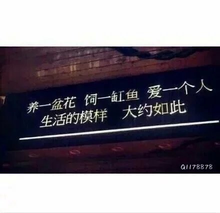 唯美图片，文字图片,情侣图片qqqqp