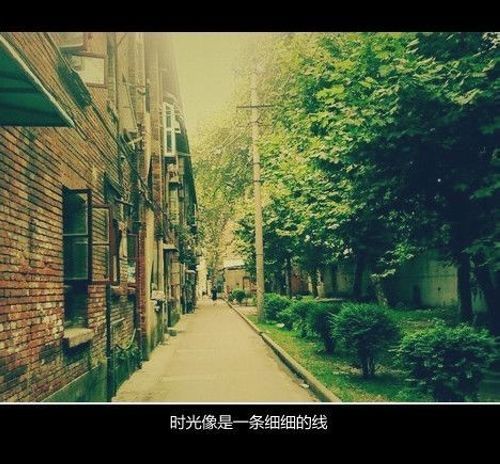 唯美图片，文字图片,情侣图片qqqqp