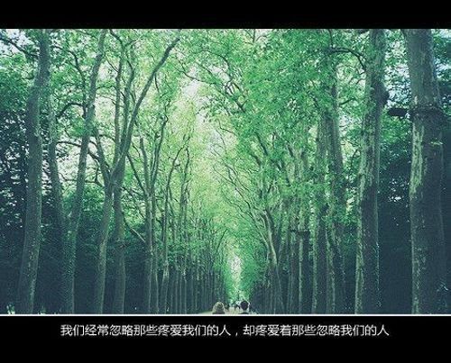 唯美图片，文字图片,情侣图片qqqqp