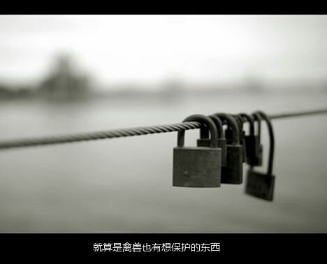 最大的寂寞不是一个人，而是两个人之后，再变成一个人