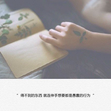 唯美图片，文字图片,情侣图片qqqqp