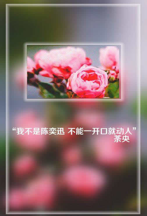 唯美图片，文字图片,情侣图片qqqqp
