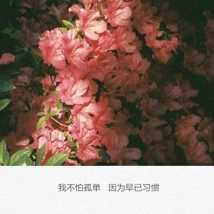 该结束的结束了，该开始的才会开始