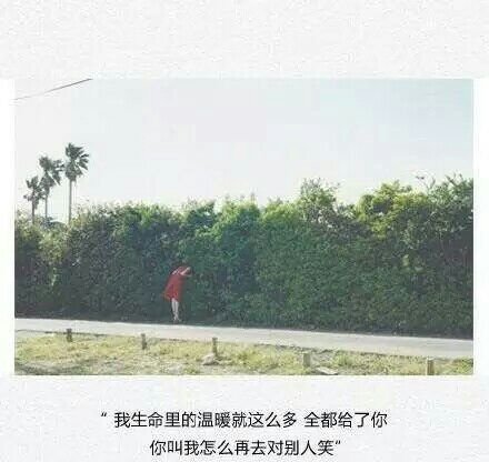 唯美图片，文字图片,情侣图片qqqqp