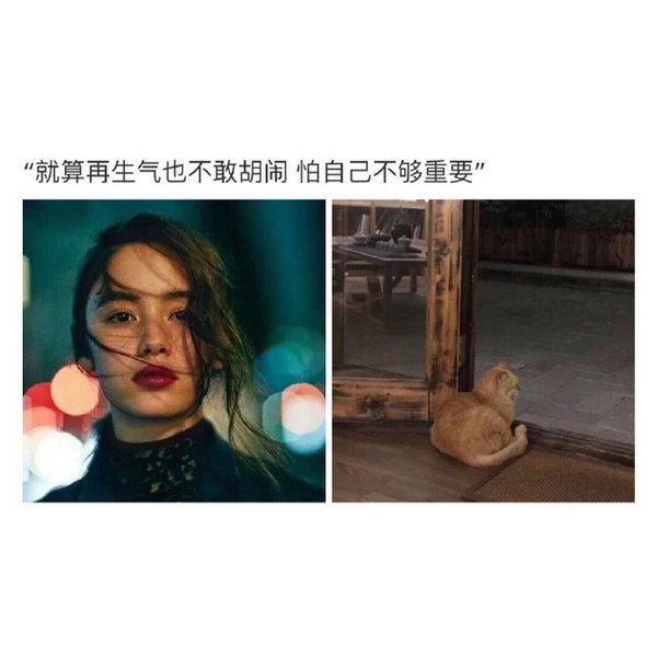 唯美图片，文字图片,情侣图片qqqqp