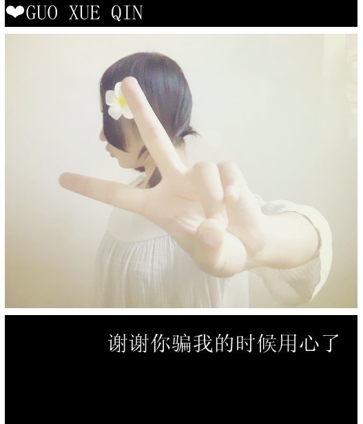 凉城以北是以无尾声的海