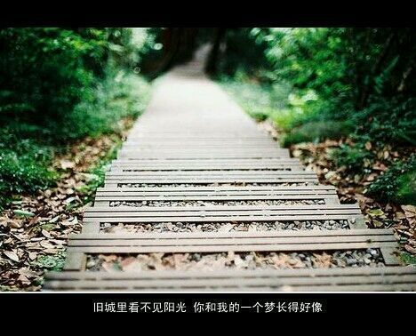 唯美图片，文字图片,情侣图片qqqqp