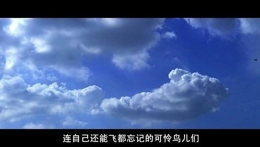 我要把命运，留给命运 电影台词截图