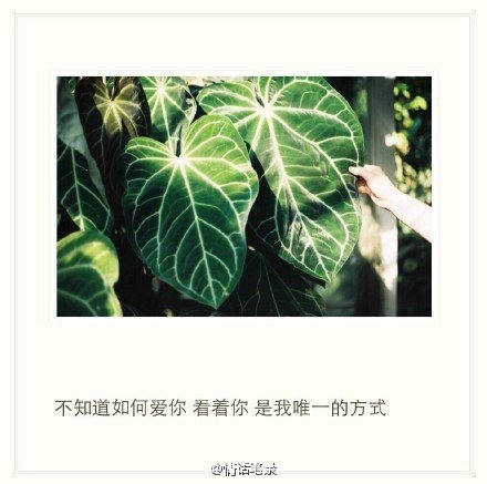 唯美图片，文字图片，动漫图片，情侣图片,qqqqp.com