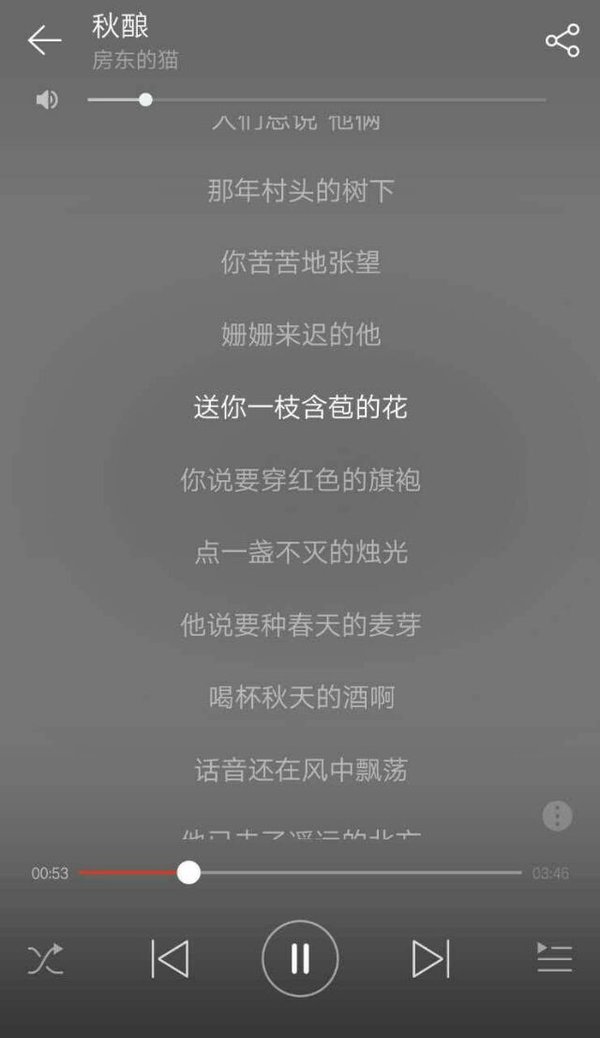 我愿做一只孤鸟