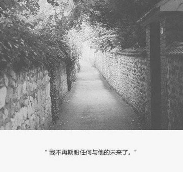 唯美图片，文字图片,情侣图片qqqqp