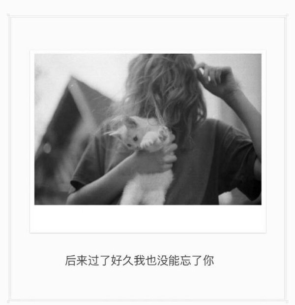 我能有多骄傲.不堪一击好不好.