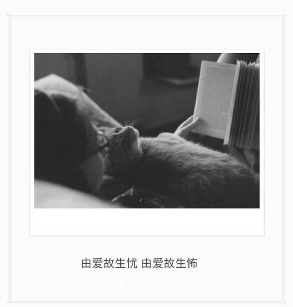 唯美图片，文字图片,情侣图片qqqqp