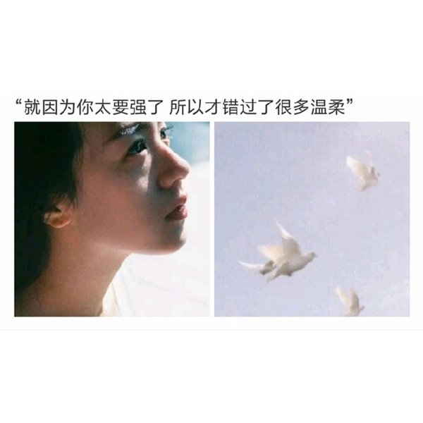 唯美图片，文字图片,情侣图片qqqqp