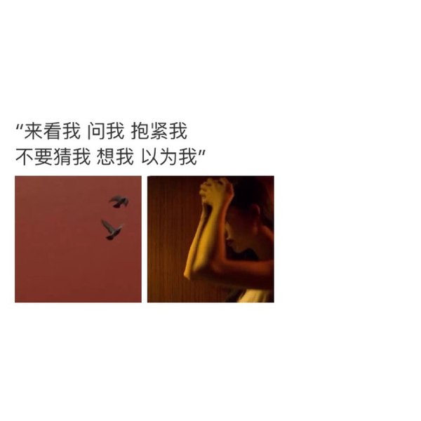唯美图片，文字图片,情侣图片qqqqp