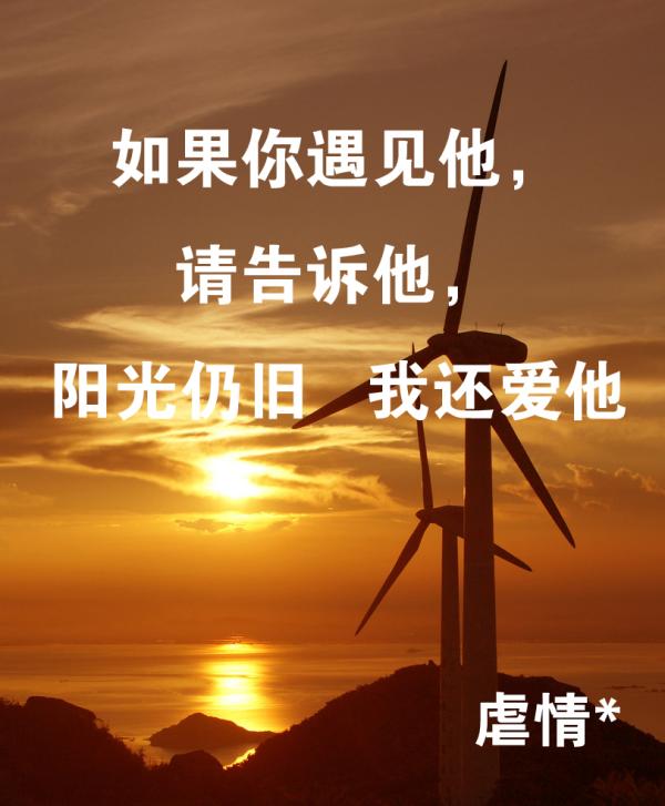 至尔明媚忧伤