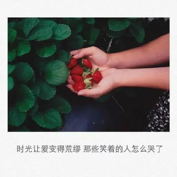 唯美图片，文字图片,情侣图片qqqqp