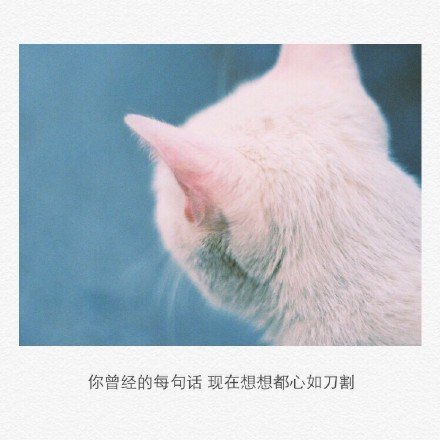 唯美图片，文字图片,情侣图片qqqqp