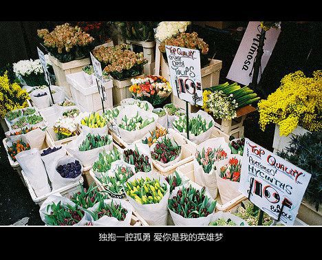 我入戏太深你却从未走进来过