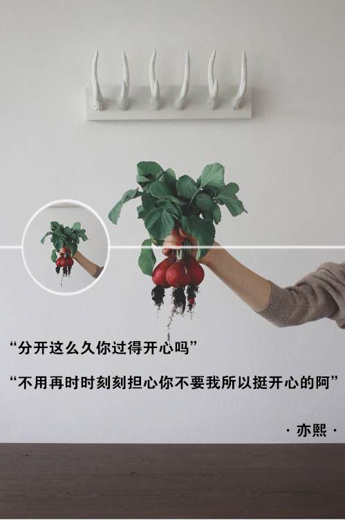 分开这么久你过的开心吗 经典带字图片