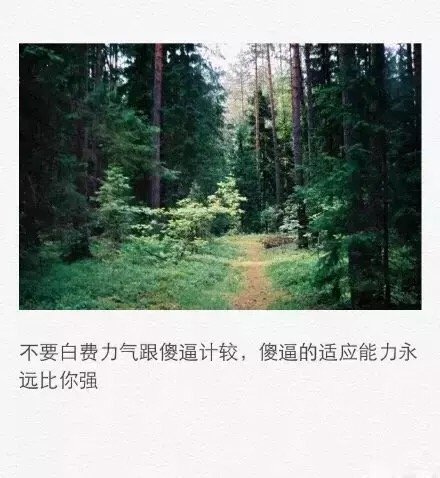 你嘴巴那么毒，内心一定是有很多苦吧