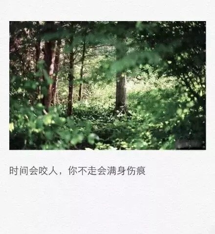 唯美图片，文字图片，动漫图片，情侣图片,qqqqp.com