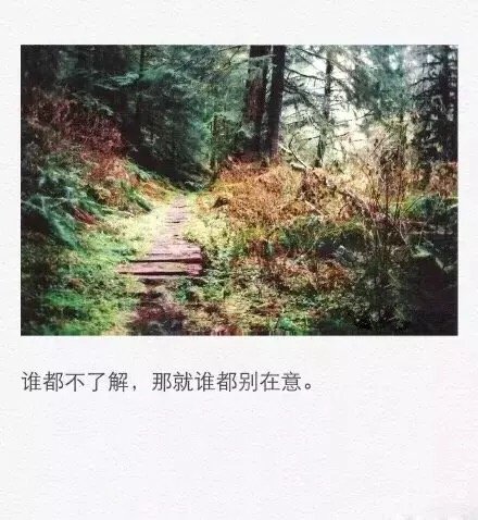 唯美图片，文字图片，动漫图片，情侣图片,qqqqp.com