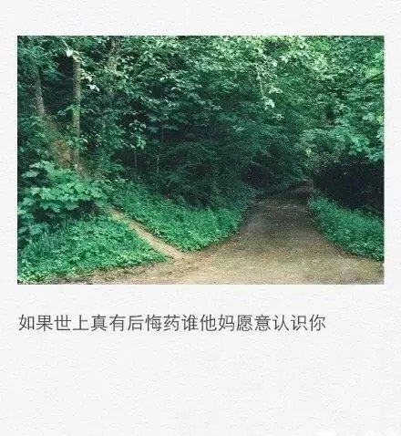唯美图片，文字图片，动漫图片，情侣图片,qqqqp.com