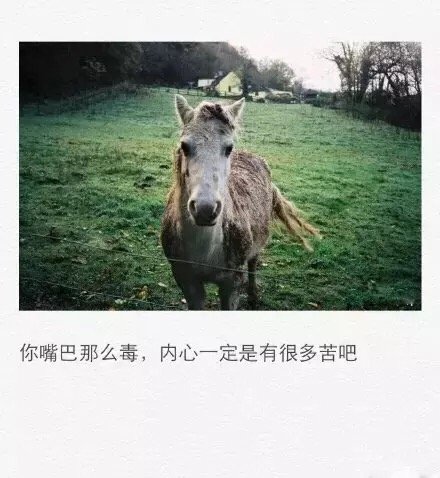 唯美图片，文字图片，动漫图片，情侣图片,qqqqp.com