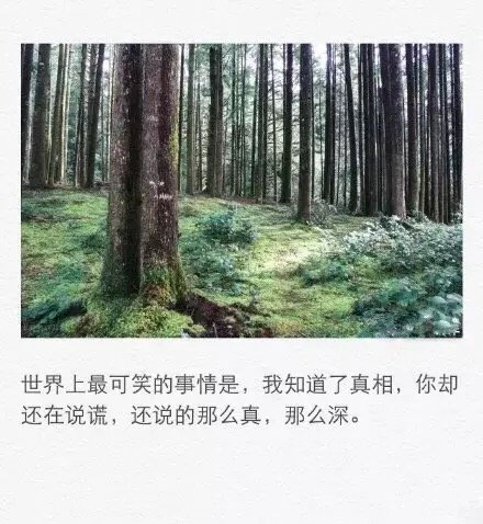 唯美图片，文字图片，动漫图片，情侣图片,qqqqp.com