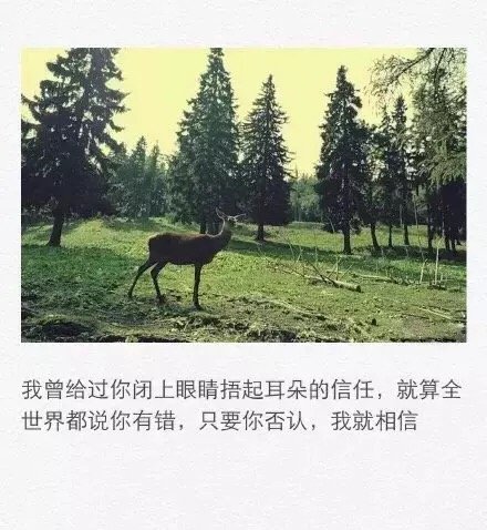 唯美图片，文字图片，动漫图片，情侣图片,qqqqp.com