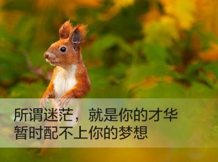 关注梦想的治愈系励志文字图片