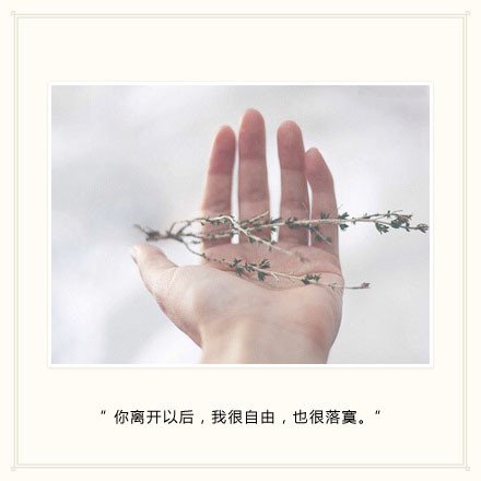 你离开以后，我很自由，也很寂寞
