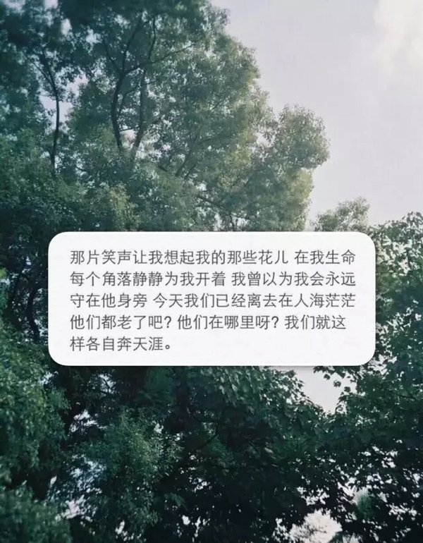 记得在离校的那天给爱你的人一个拥抱