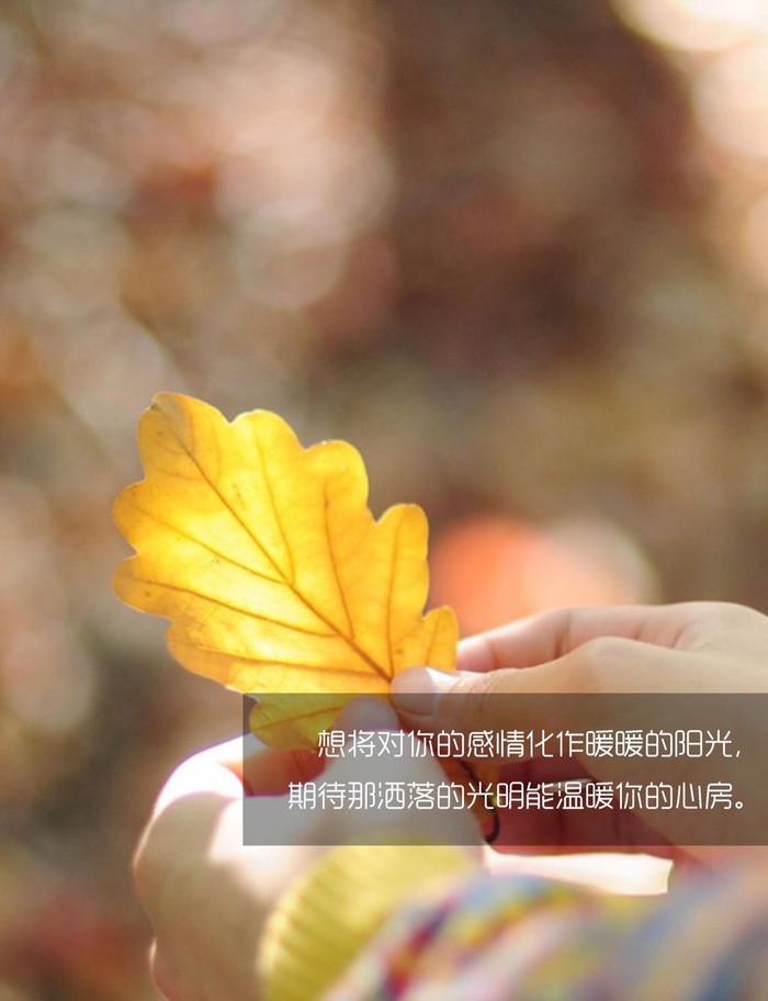 没有痛苦和牺牲，我们就不会有收获