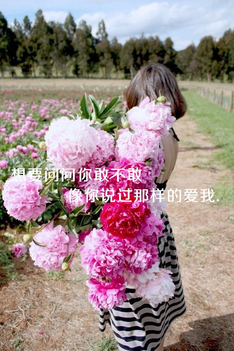 我怕爱你太早不能和你终老